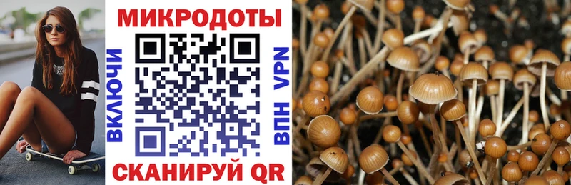 Галлюциногенные грибы прущие грибы Советская Гавань